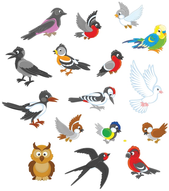 Set di cartoni animati vettoriali di uccelli divertenti tra cui diverse specie