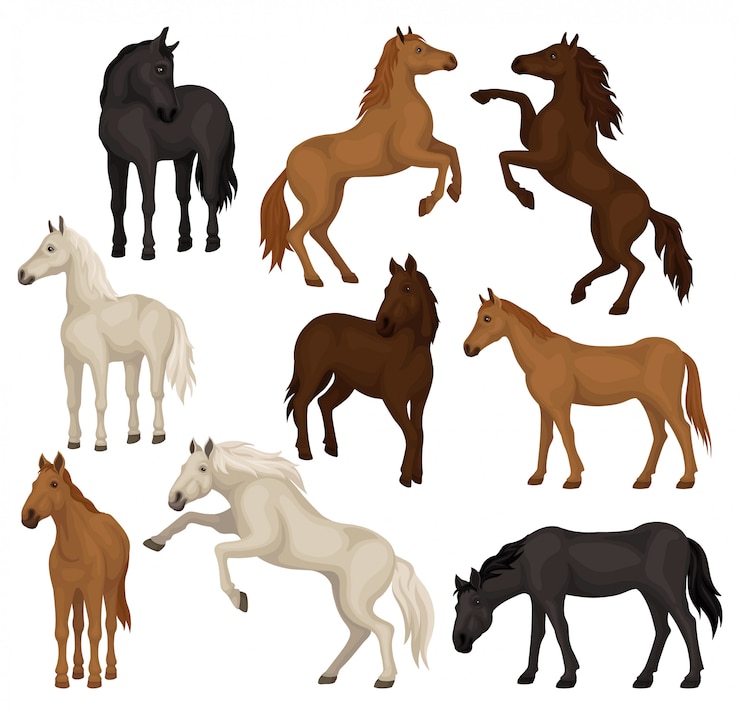 Vettore set di cavalli marroni, beige e neri in diverse pose. grandi animali da mammifero con zoccoli, criniera e coda fluenti.