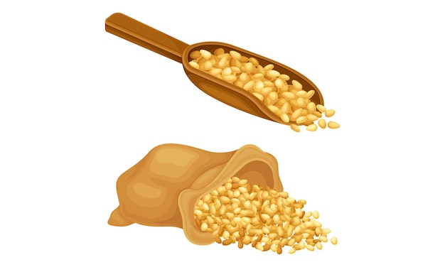 Set di cereali Scoop e sacco di grano orzo o segale illustrazione vettoriale