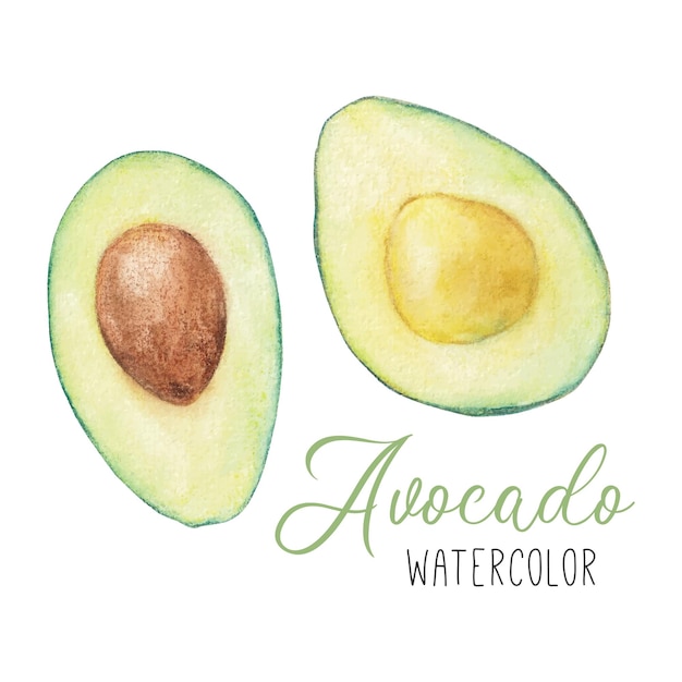 Set di clipart dell'acquerello con avocado