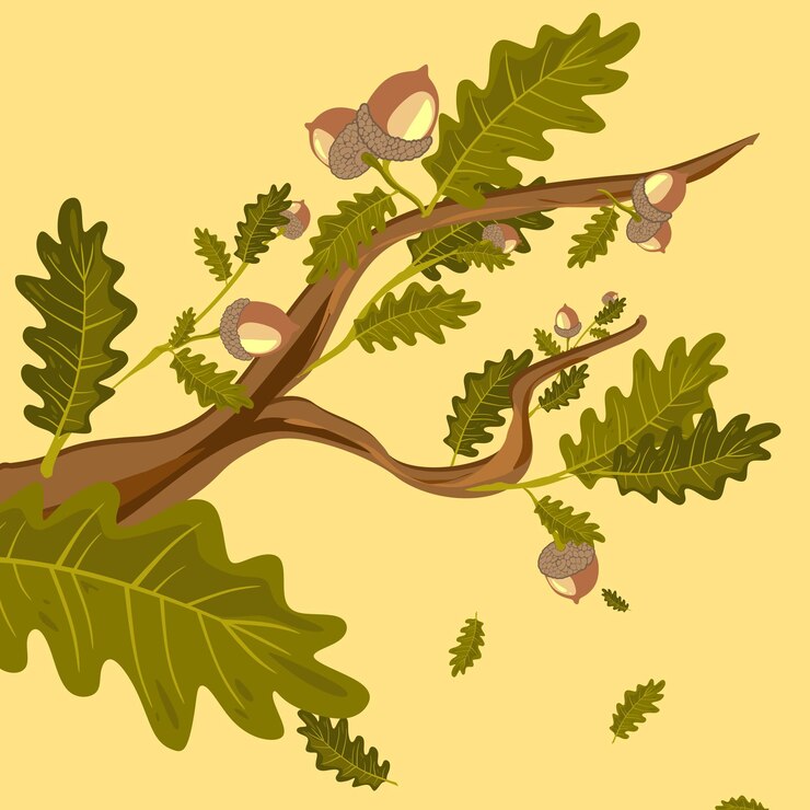 Vettore set di clipart di rami di quercia con foglie verdi e ghiande
