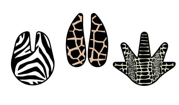 Set di coccodrillo e giraffa zebra stampa zampa