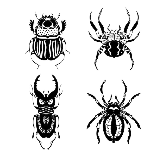 Set di coleotteri e ragni linea illustrazioni vettoriali stile di disegno a mano