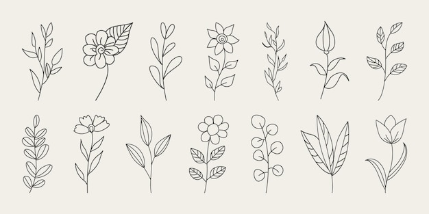 Set di collezione d'arte in linea di fiori selvatici in stile scarabocchi di foglie botaniche.