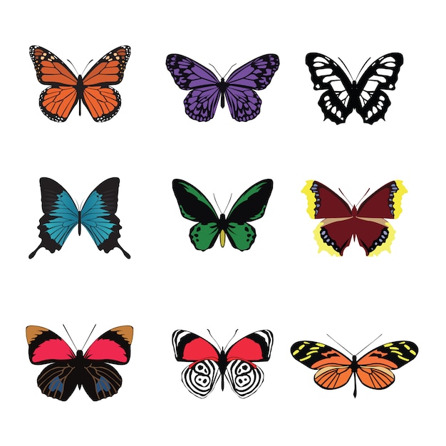 Set di colori farfalla