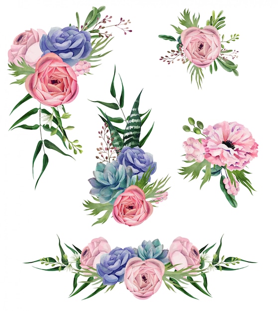 Set di composizioni floreali ad acquerello, ranuncolo e verde,
