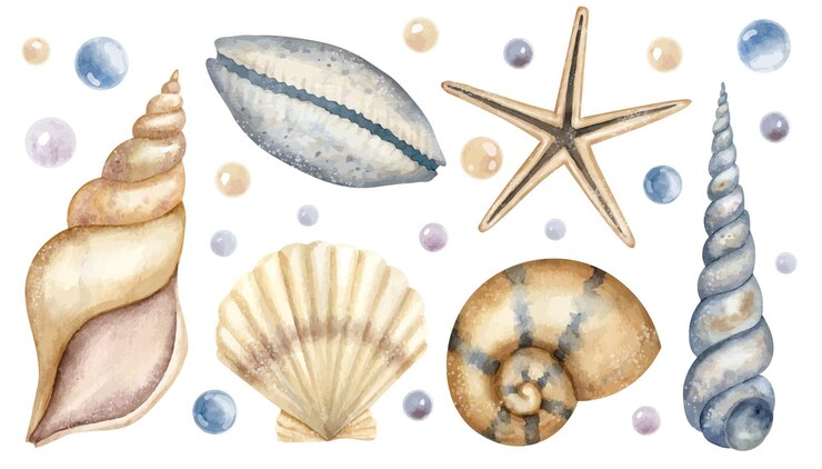 Vettore set di conchiglie grande fascio disegnato a mano di conchiglie di mare su sfondo isolato collezione di conchiglie e stelle marine disegno di elementi di vita sottomarina per il design in stile marino