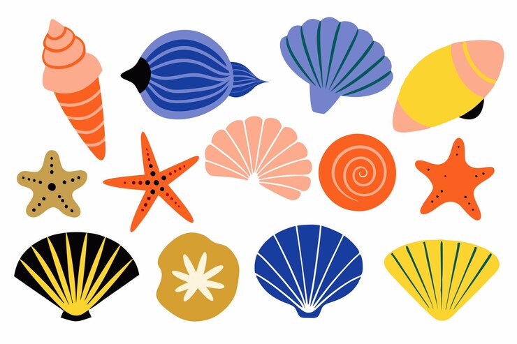 Vettore set di conchiglie marine colorate molluschi lumache marine stelle di mare illustrazione piatta su sfondo bianco