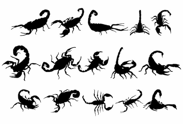 Set di disegni di illustrazione vettoriale del modello del logo dell'icona della silhouette dello Scorpione.