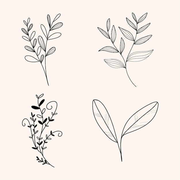 Set di disegni floreali al tratto