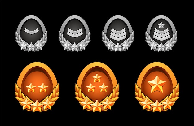 Set di distintivi di grado di premio per giochi Forma ovale con alloro Effetto metallico 3D oro e argento Classifica e stelle