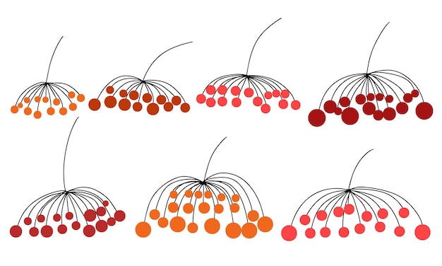 Set di diversi tipi di ramo con bacca per decorazioni natalizie. Disegnare a mano illustrazione vettoriale