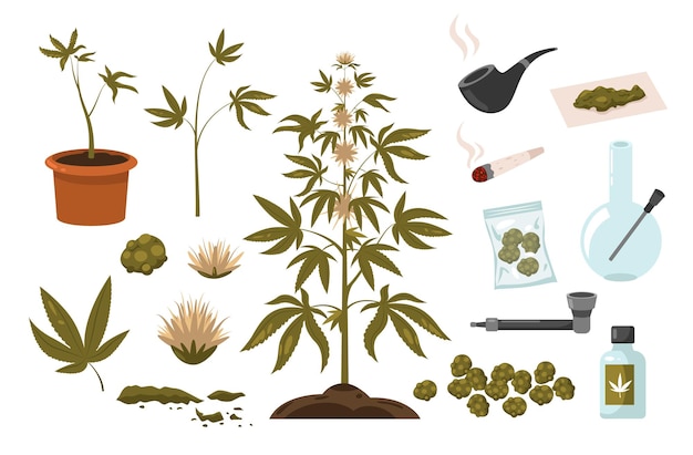 Set di droghe di marijuana Elementi di dipendenza da canapa bottiglia di fumo di sigaretta di hashish bong verde foglia di erbaccia attrezzatura per il fumo di cannabis Collezione di doodle vettoriali