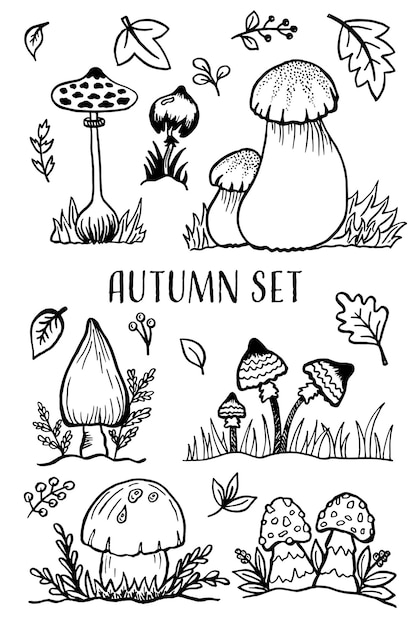 Set di elementi autunnali foglie bacche e funghi Ciao Autunno Simboli del raccolto autunnale Schizzo disegnato a mano Illustrazione vettoriale in stile doodle