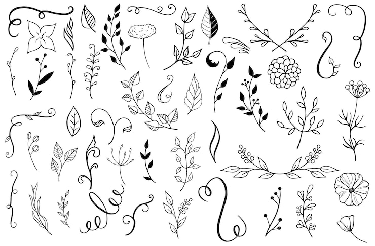 Vettore set di elementi di design floreale foglie illustrazione vettoriale