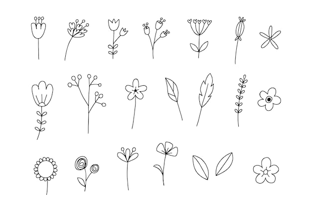 Set di elementi di doodle di fiori botanici, ornamento floreale disegnato a mano per carta di invito, illustrazione, vettore