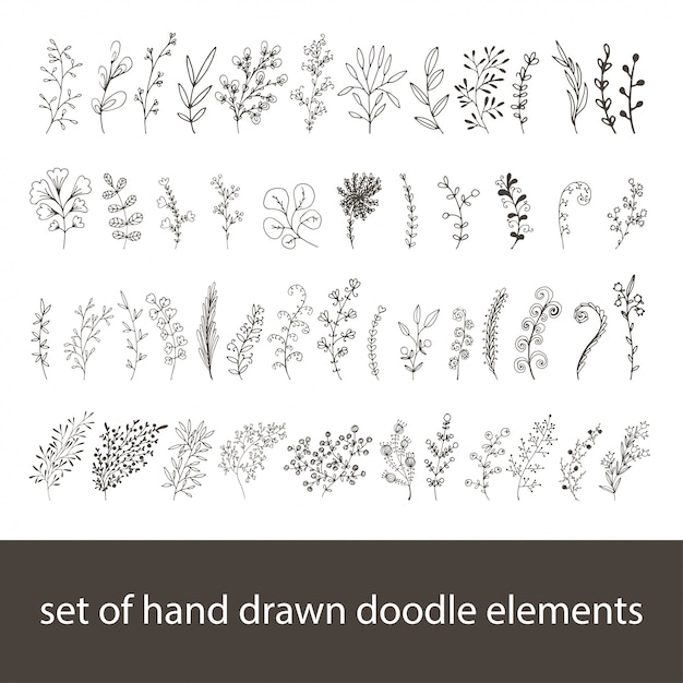 Set di elementi floreali disegnati a mano