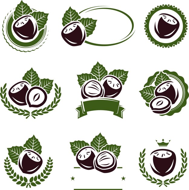 Set di etichette ed elementi di nocciole Vector