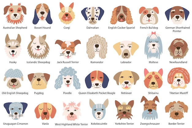 Set di facce di cani di varie razze Illustrazione vettoriale