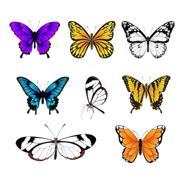 Set di farfalle Collezione di farfalle colorate