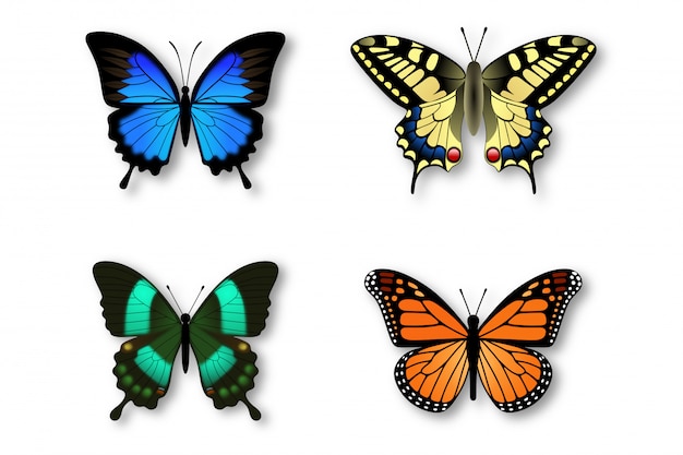 Set di farfalle colorate
