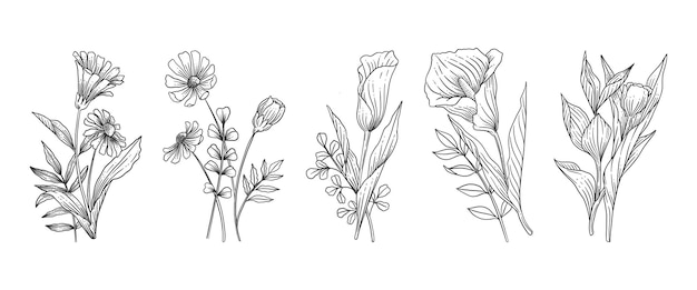 Set di fiori botanici disegnati a mano