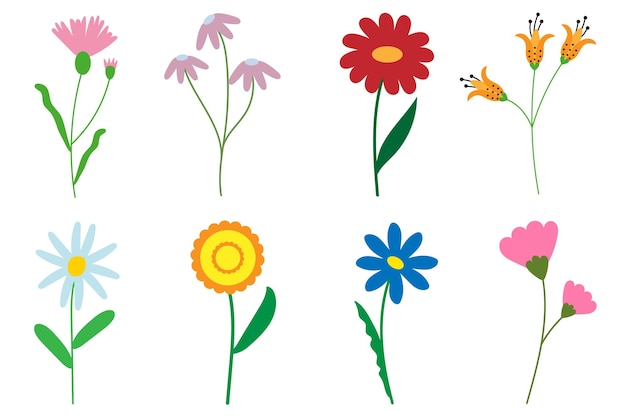 set di fiori da otto pezzi