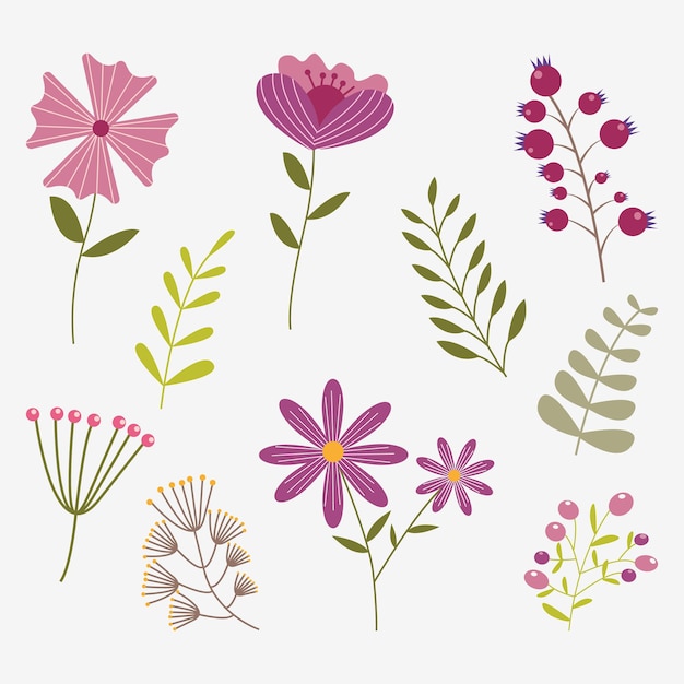 Set di fiori decorativi estivi e primaverili Illustrazione vettoriale botanica colorata piatta