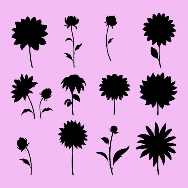 Set di fiori di dahlia silhouette nera Clip art vector