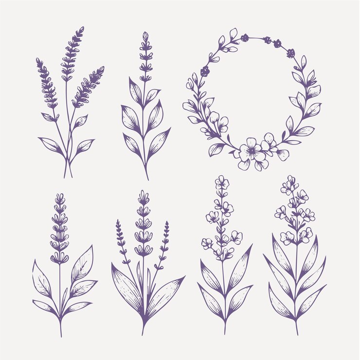 Vettore set di fiori di lavanda disegnati a mano illustrazione vettoriale in stile schizzo.