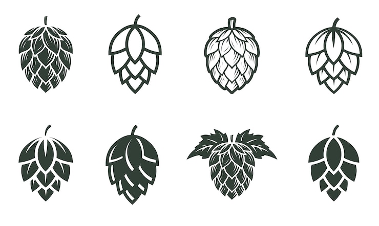 Vettore set di fiori di luppolo silhouette di luppolo per il logo della birra