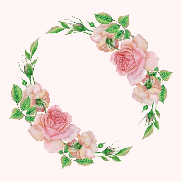 set di fiori di rosa dell'acquerello