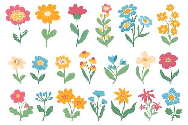 Set di fiori disegnati a mano primaverili collezione romantica di piante di fiori selvatici elementi floreali di fiori carini