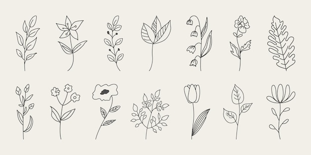 Set di fiori minimalisti disegnati a mano in stile doodle con foglie eleganti.