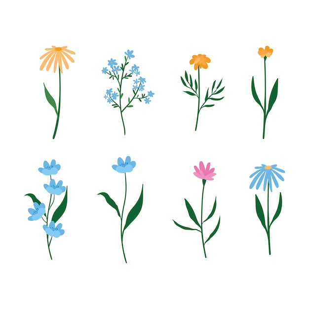 set di fiori selvatici in stile doodle