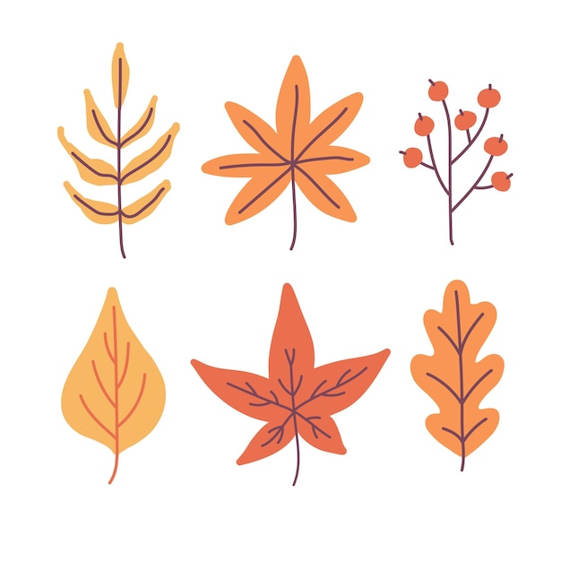Set di foglie d'autunno carine disegnate a mano oggetti stagionali illustrazione vettoriale in stile piatto