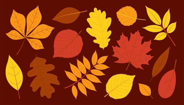 Set di foglie d'autunno Illustrazione isolata a vettore piatto