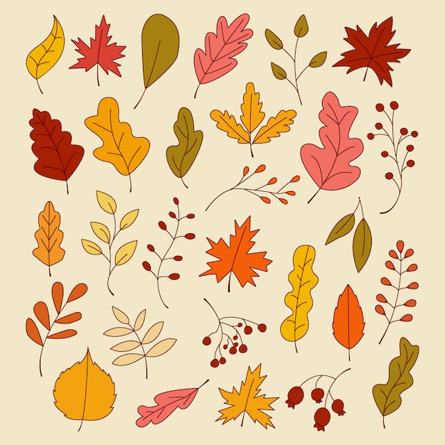 Set di foglie d'autunno, illustrazione vettoriale