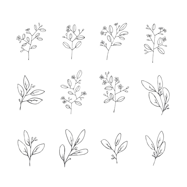Set di foglie decorative disegnate a mano semplice