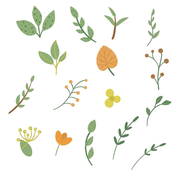 Set di foglie illustrazione