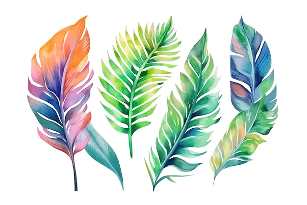 Set di foglie tropicali natura collezione decorativa botanica Illustrazione vettoriale raccolta isolata set di foglie tropicali