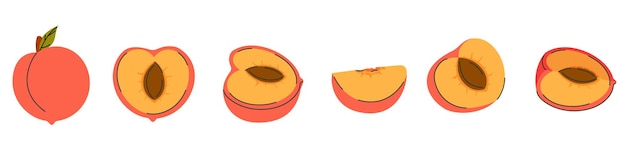 Set di frutta di pesca intero, metà fetta, quarto segmento Collezione di frutti di pesca disegnati a mano in stile doodle