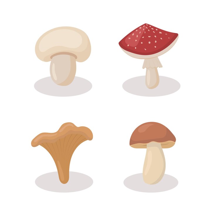 Vettore set di funghi diversi illustrazione di stile piatto del fumetto