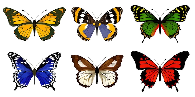 Set di icone del logo farfalla Icone farfalla in stile piatto Immagine farfalla isolata