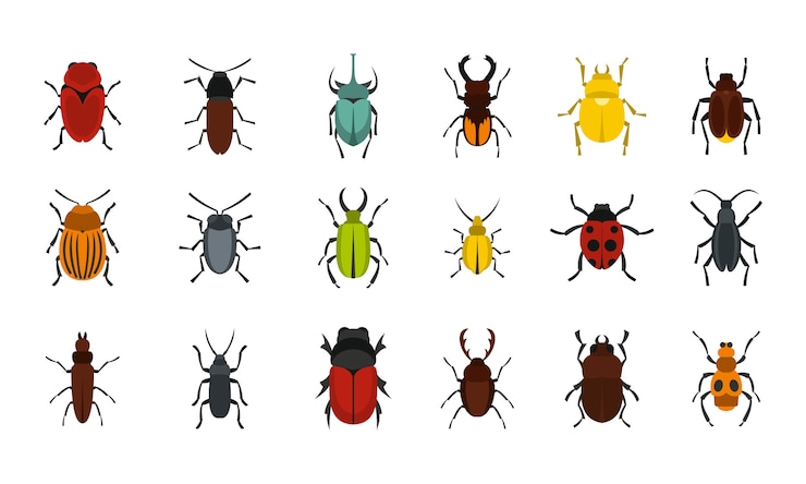 Vettore set di icone di bug. insieme piano della raccolta delle icone di vettore degli insetti isolata