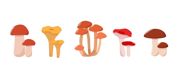 Set di icone di funghi vettore Illustrazione di funghi porcini funghi miele pioppo tremulo e russula