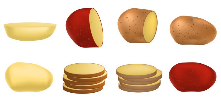 Vettore set di icone di patate, stile realistico