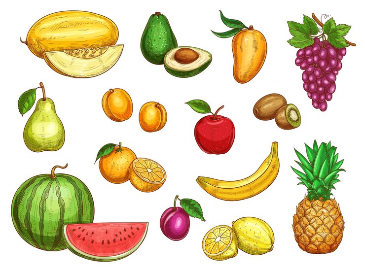 Vettore set di icone isolate di frutta fresca esotica vettoriale