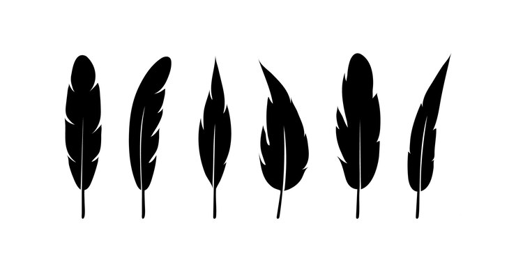Set di icone piuma Simbolo di illustrazione pennacchio nero Segno vettore penna retrò