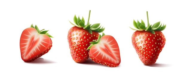 set di icone vettoriali realistiche di fragole rosse metà di fragole intere fragole isolate su